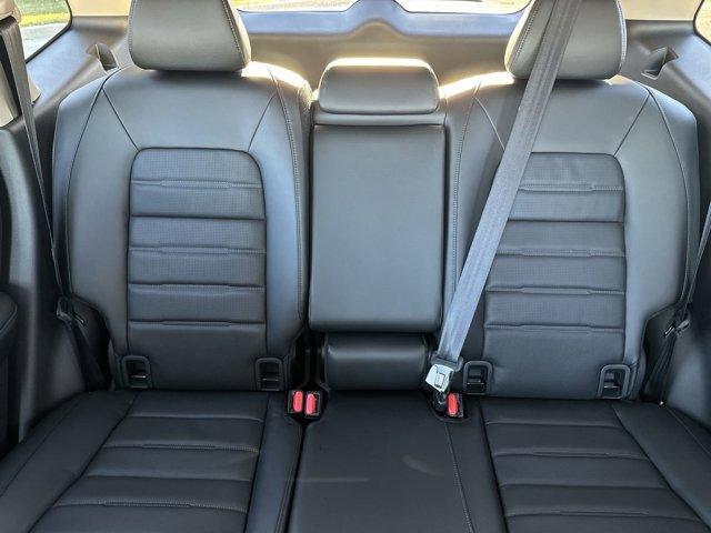 Photo of 2025 Still Night Pearl Honda CR-V