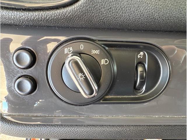 Photo of 2020 Chestnut MINI Countryman