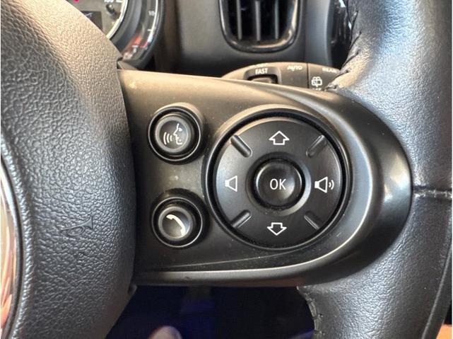 Photo of 2020 Chestnut MINI Countryman