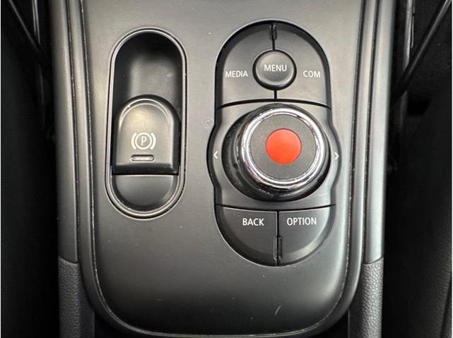 Photo of 2020 Chestnut MINI Countryman