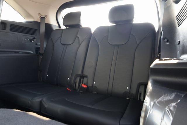 Photo of 2025 Panthera Metal Kia Sorento