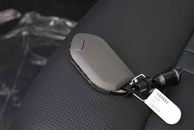 Photo of 2025 Panthera Metal Kia Sorento