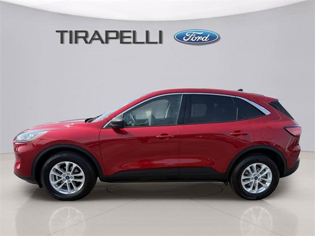 Photo of 2022 Rapid Red Metallic Tinted Clearcoat Ford Escape