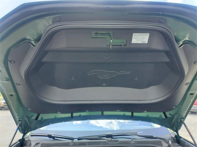 Photo of 2025 Green Metallic Ford Mustang Mach-E