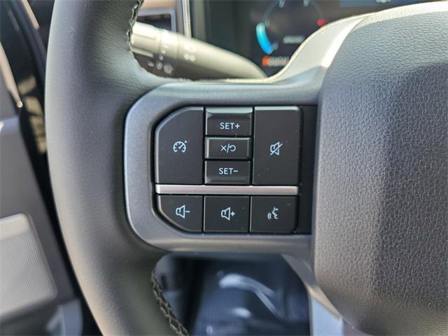 Photo of 2025 Black Metallic Ford F-250