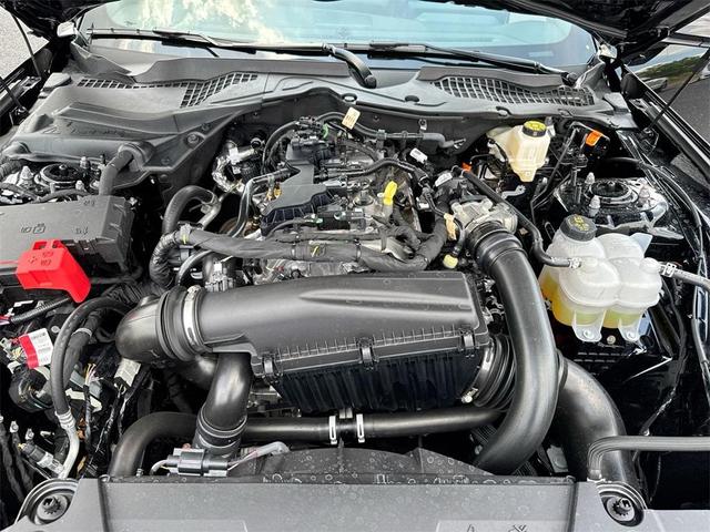 Photo of 2025 Shadow Black Ford Mustang