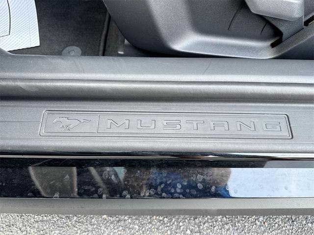 Photo of 2025 Shadow Black Ford Mustang
