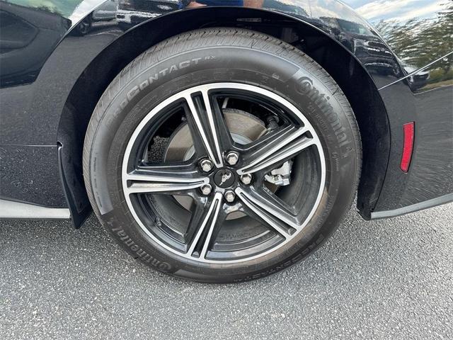 Photo of 2025 Shadow Black Ford Mustang