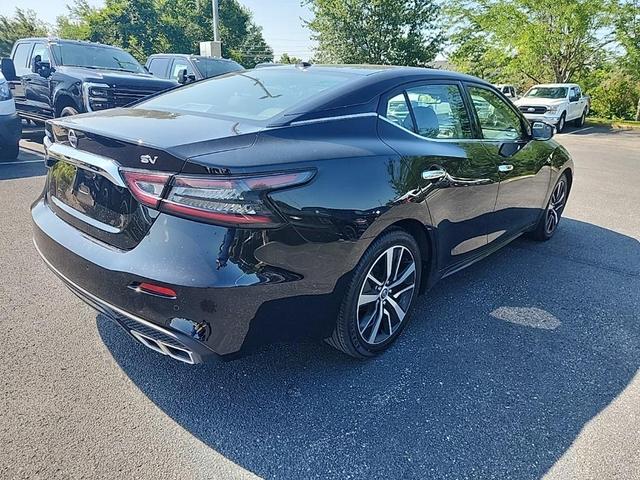 Photo of 2023 Black Nissan Maxima