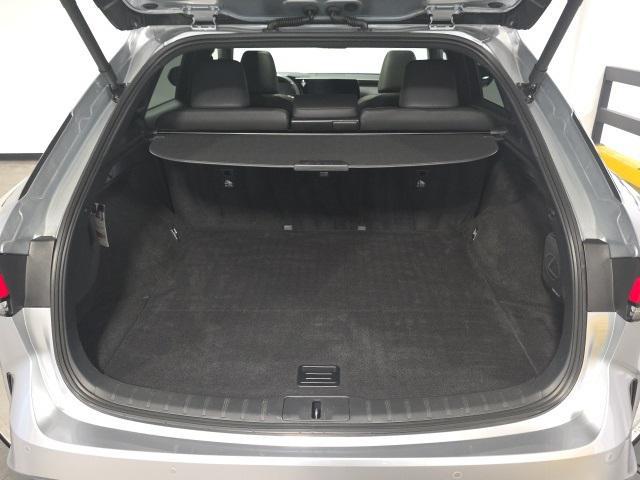 Photo of 2023 Iridium Lexus RX 350
