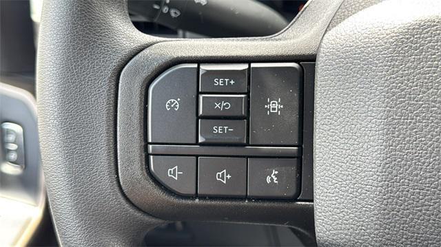 Photo of 2025 Carbonized Gray Metallic Ford F-150