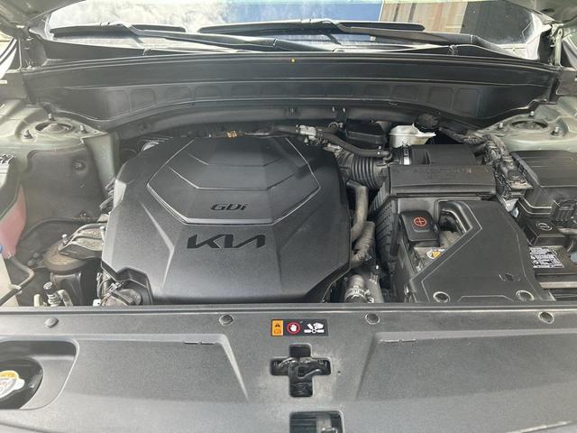 Photo of 2023 Jungle Green Kia Telluride