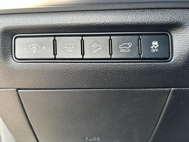 Photo of 2023 Jungle Green Kia Telluride