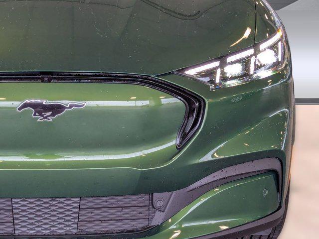 Photo of 2025 Eruption Green Metallic Ford Mustang Mach-E