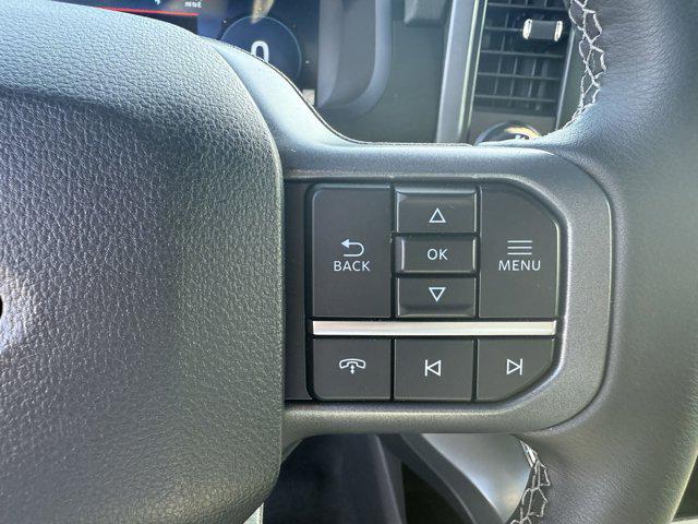 Photo of 2025 AGATE BLACK METALLIC Ford F-150