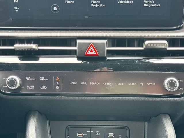 Photo of 2026 Panthera Metal Kia Sportage