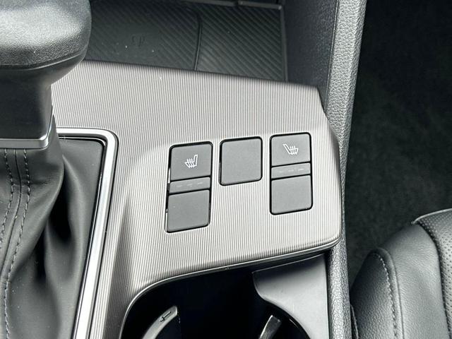 Photo of 2026 Panthera Metal Kia Sportage