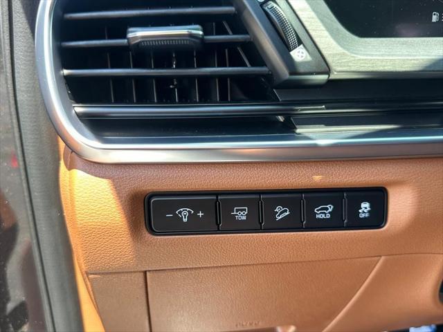 Photo of 2025 Panthera Metal Kia Telluride