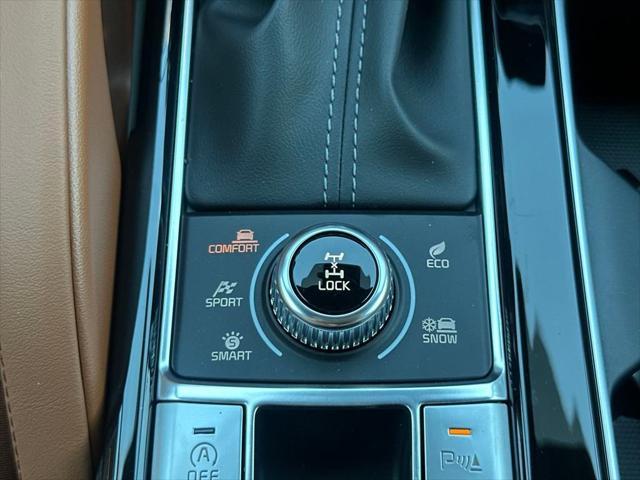 Photo of 2025 Panthera Metal Kia Telluride