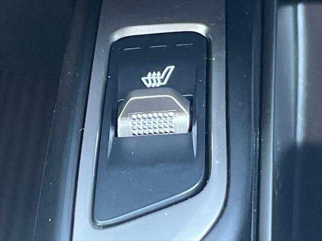 Photo of 2025 Panthera Metal Kia Sorento