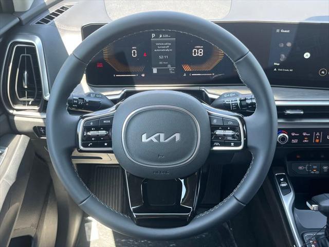 Photo of 2025 Panthera Metal Kia Sorento