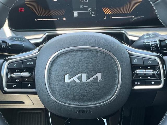 Photo of 2025 Panthera Metal Kia Sorento