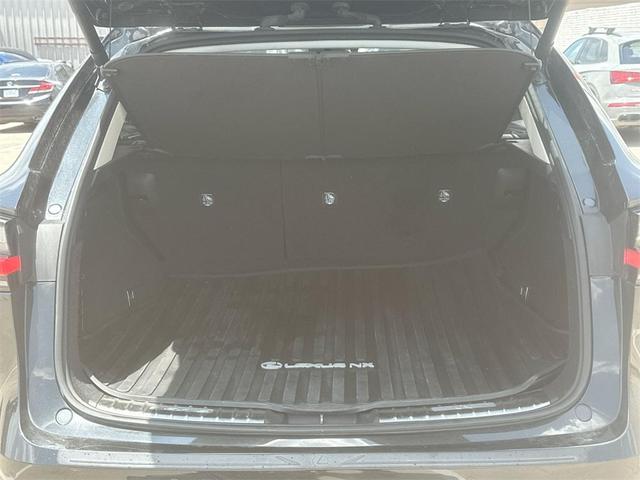 Photo of 2024 Caviar Lexus NX 350