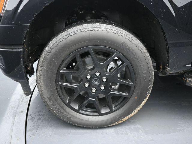 Photo of 2025 Oxford White Ford F-150