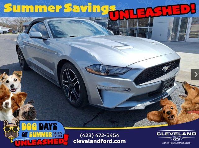 Photo of 2022 Silver Metallic Ford Mustang
