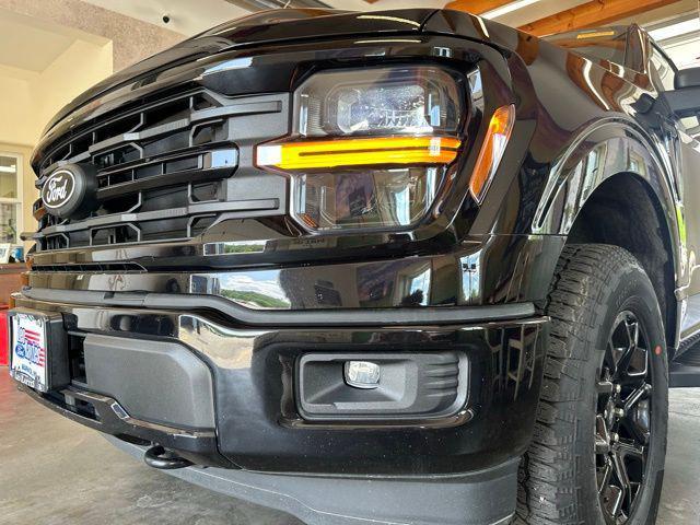 Photo of 2024 Black Metallic Ford F-150