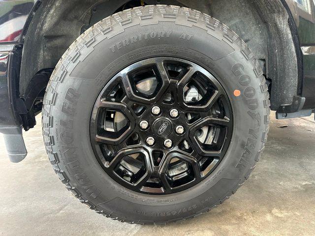 Photo of 2024 Black Metallic Ford F-150