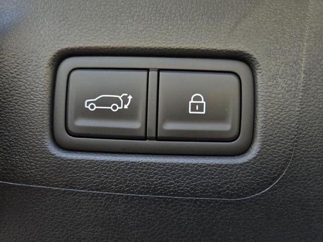 Photo of 2025 Serenity White Hyundai SANTA FE