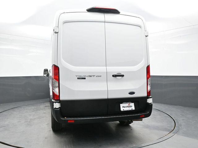 Photo of 2023 Oxford White Ford Transit-250
