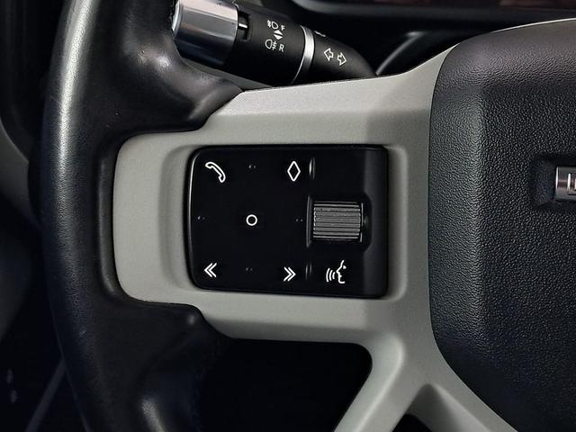 Photo of 2020 Tasman Blue Metallic Land Rover Defender
