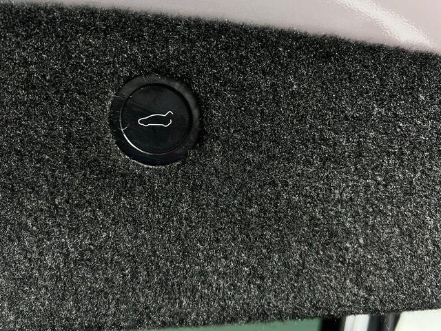 Photo of 2023 Pearl White Multi Tesla Model X