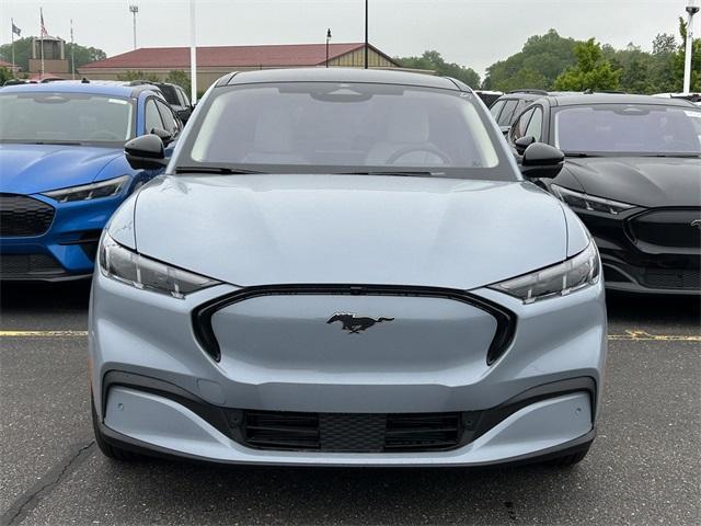 Photo of 2025 Glacier Gray Metallic Ford Mustang Mach-E