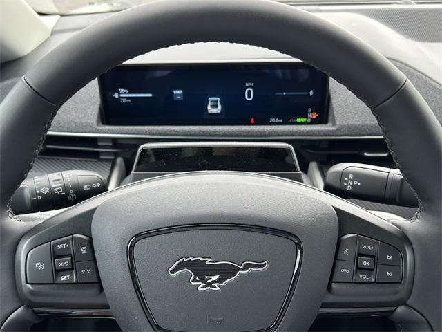Photo of 2025 Shadow Black Ford Mustang Mach-E