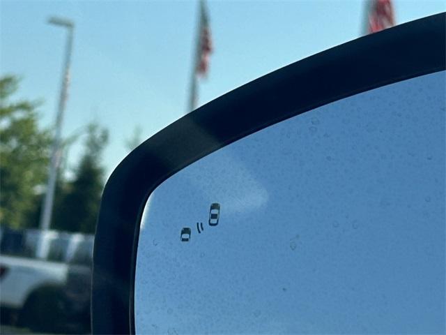 Photo of 2025 Shadow Black Ford Mustang Mach-E