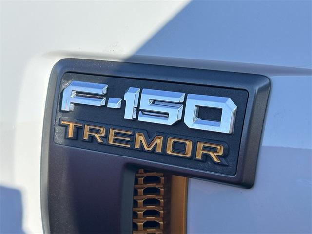 Photo of 2023 Avalanche Gray Ford F-150