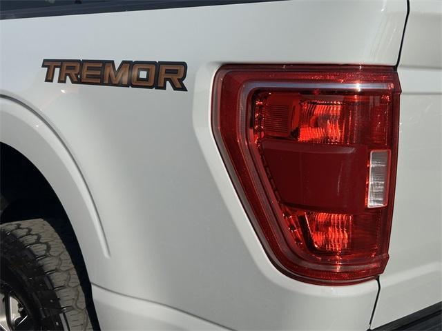 Photo of 2023 Avalanche Gray Ford F-150