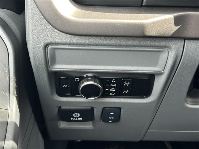 Photo of 2025 Carbonized Gray Metallic Ford F-150 Lightning
