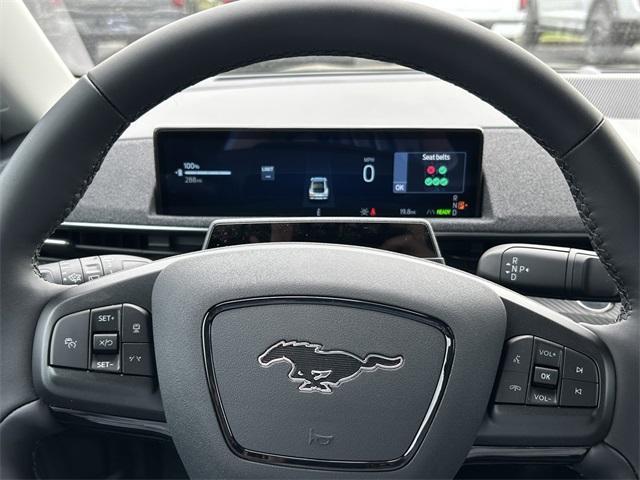 Photo of 2025 Shadow Black Ford Mustang Mach-E