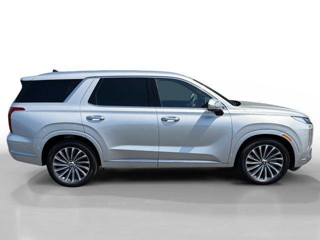 Photo of 2025 Typhoon Silver Hyundai PALISADE