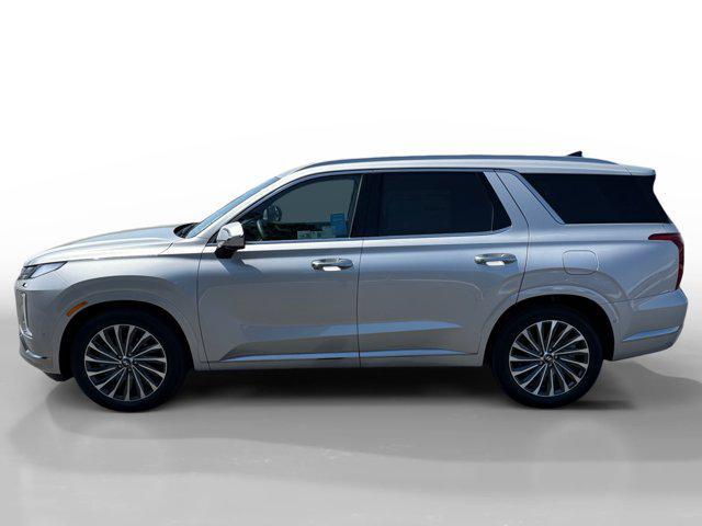 Photo of 2025 Typhoon Silver Hyundai PALISADE