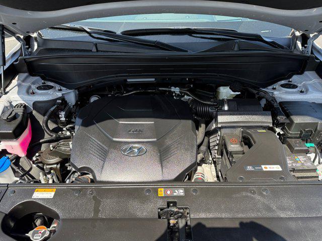 Photo of 2025 Typhoon Silver Hyundai PALISADE