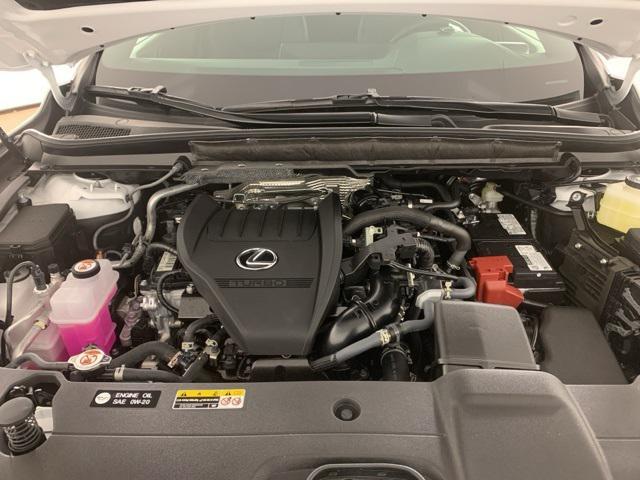 Photo of 2025 Ultra White Lexus RX 350