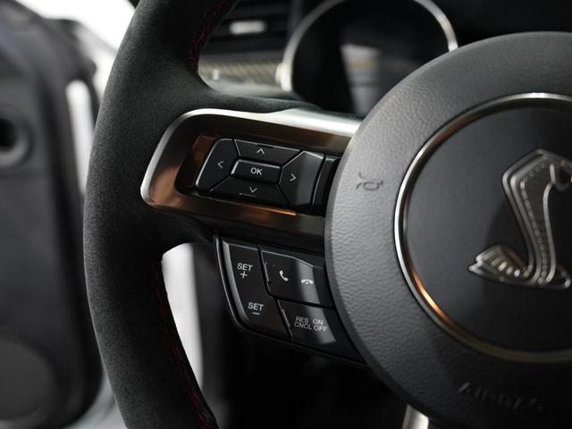 Photo of 2019 WHITE Ford Shelby GT350R