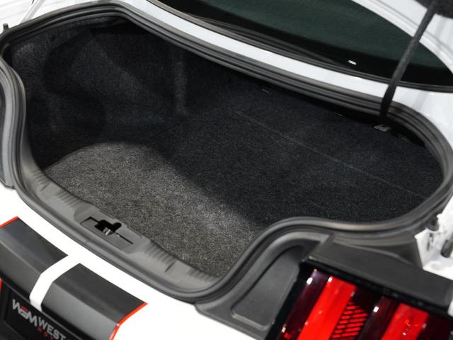Photo of 2019 WHITE Ford Shelby GT350R