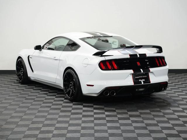 Photo of 2019 WHITE Ford Shelby GT350R