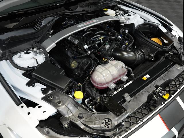 Photo of 2019 WHITE Ford Shelby GT350R